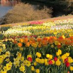 Kurparkimpressionen im Frühling